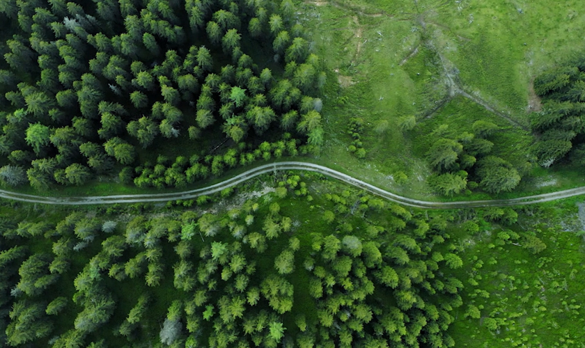 環(huán)境與生態(tài)